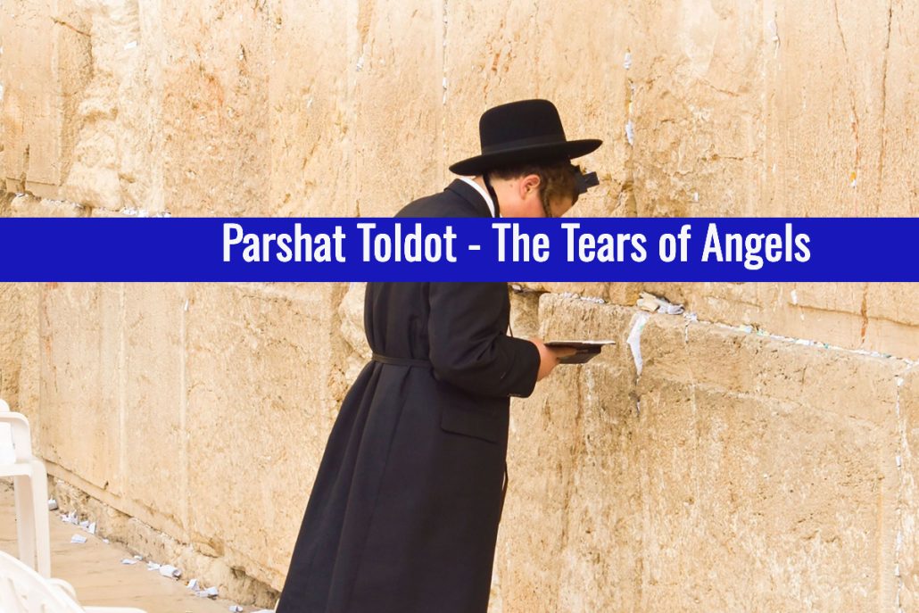 parshat toldot